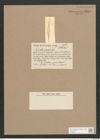 Cymbella cryophila Castr. (de-Toni-Nr.: Genus 33, Species 1420) Zeichnungen Sammlung Grunow Nr. 2693 (NHMW-BOT-W0369951)
